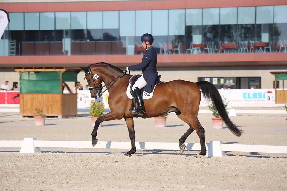 Antonio Laiz Campeón de España Jóvenes Jinetes en Doma Clásica.